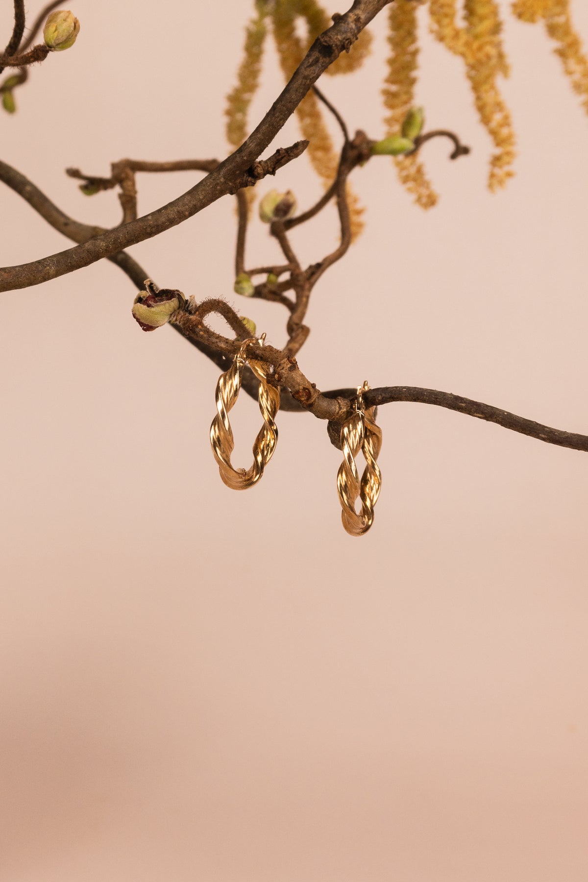 9ct Yellow Gold Twisted Hoop Earrings