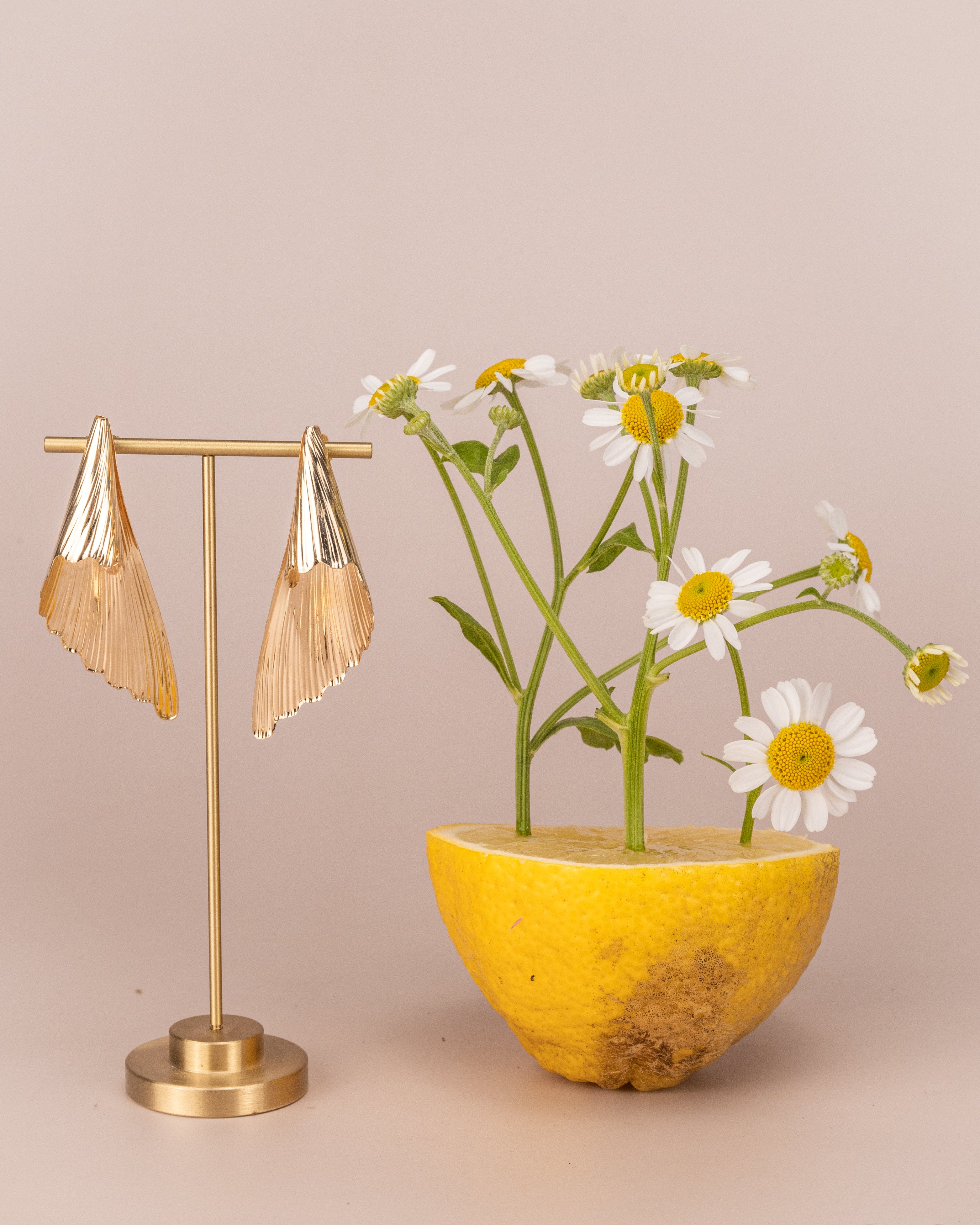 14ct Yellow Gold Scalloped Edge Earrings