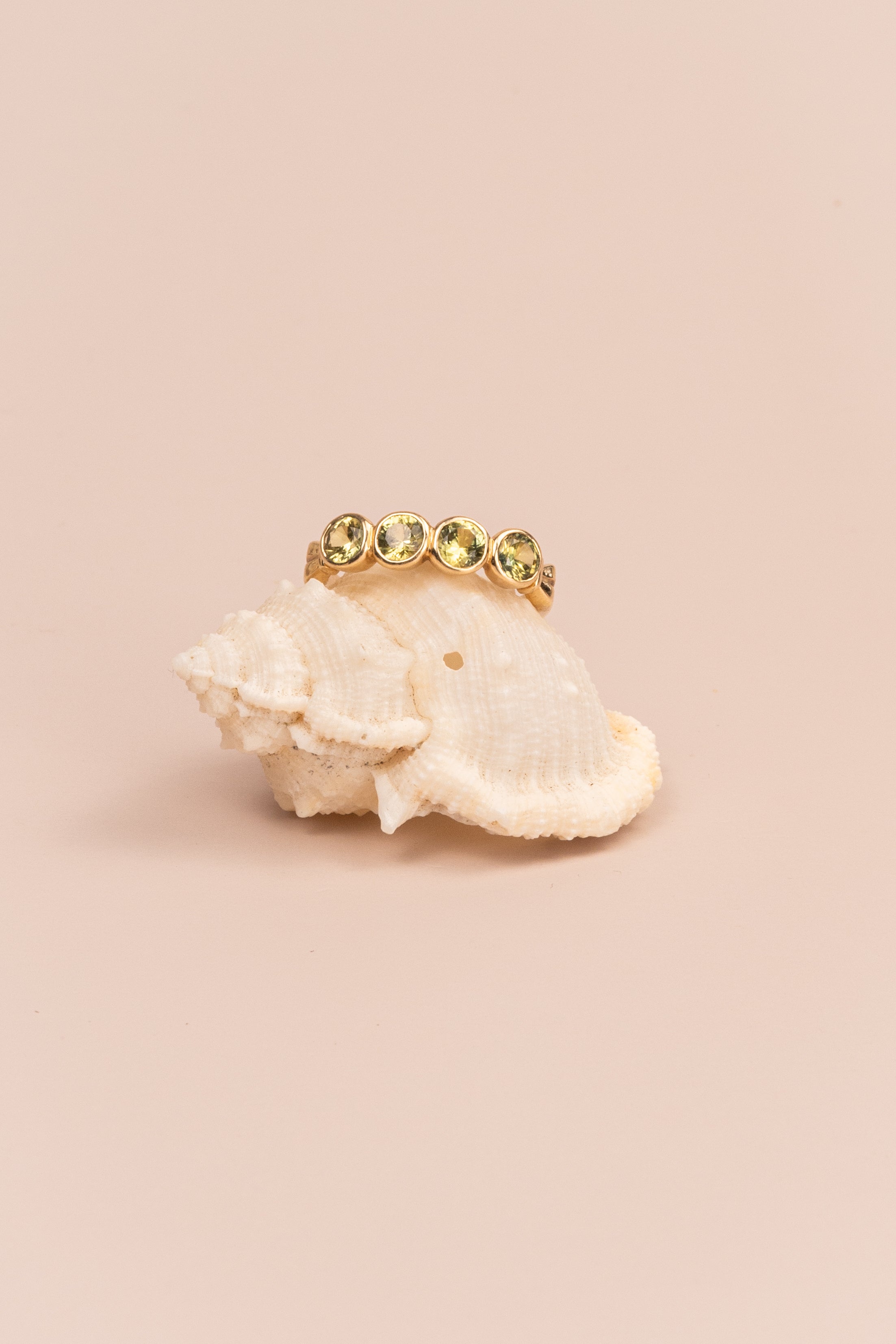 9ct Yellow Gold Australian Parti Sapphire Ring