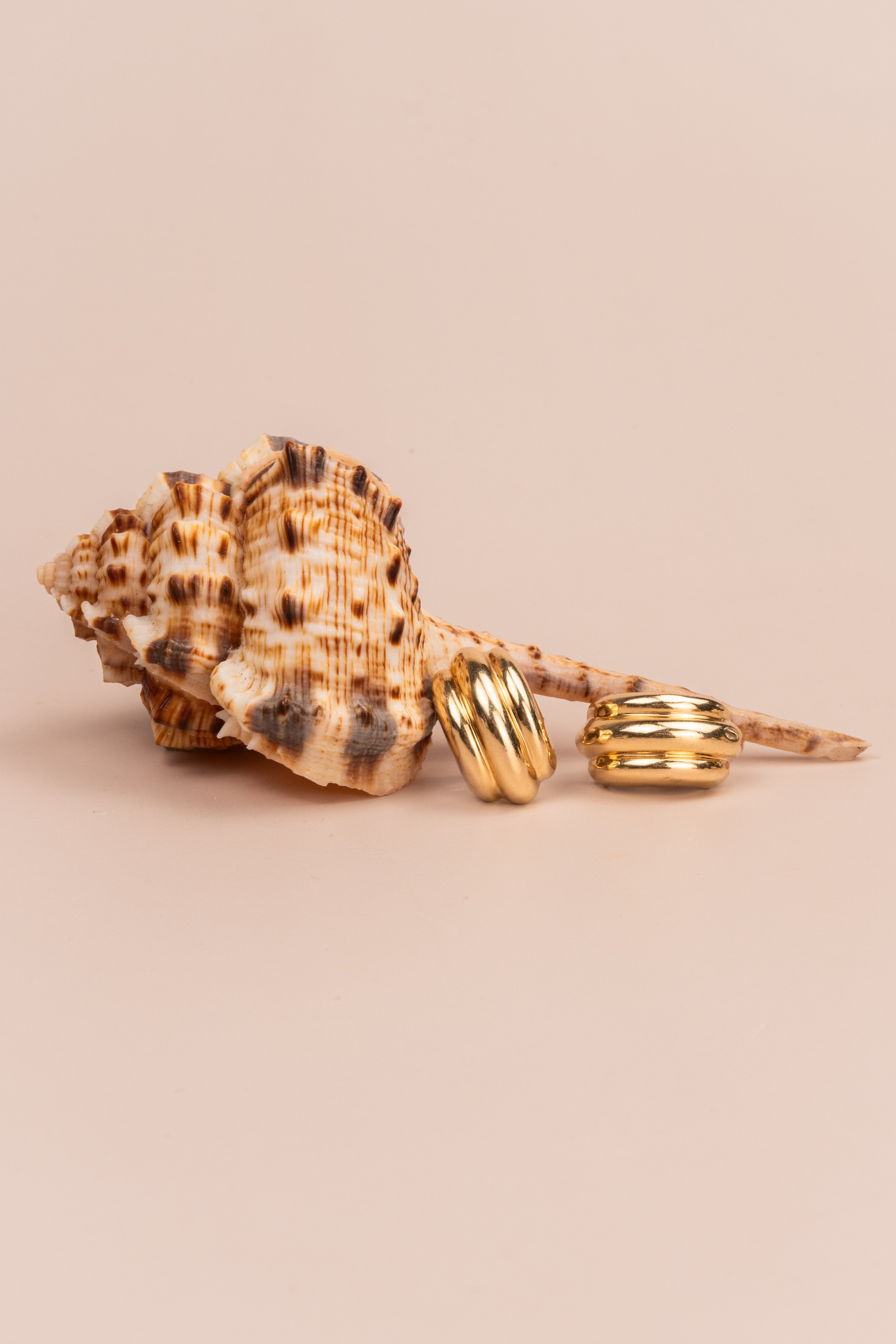 14ct Yellow Gold Perfect Earrings
