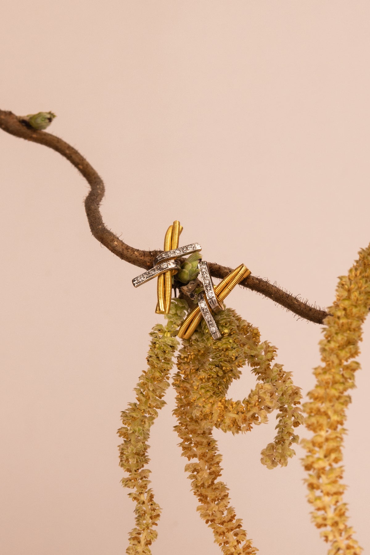 18ct Yellow Gold Barbed Wire Earrings