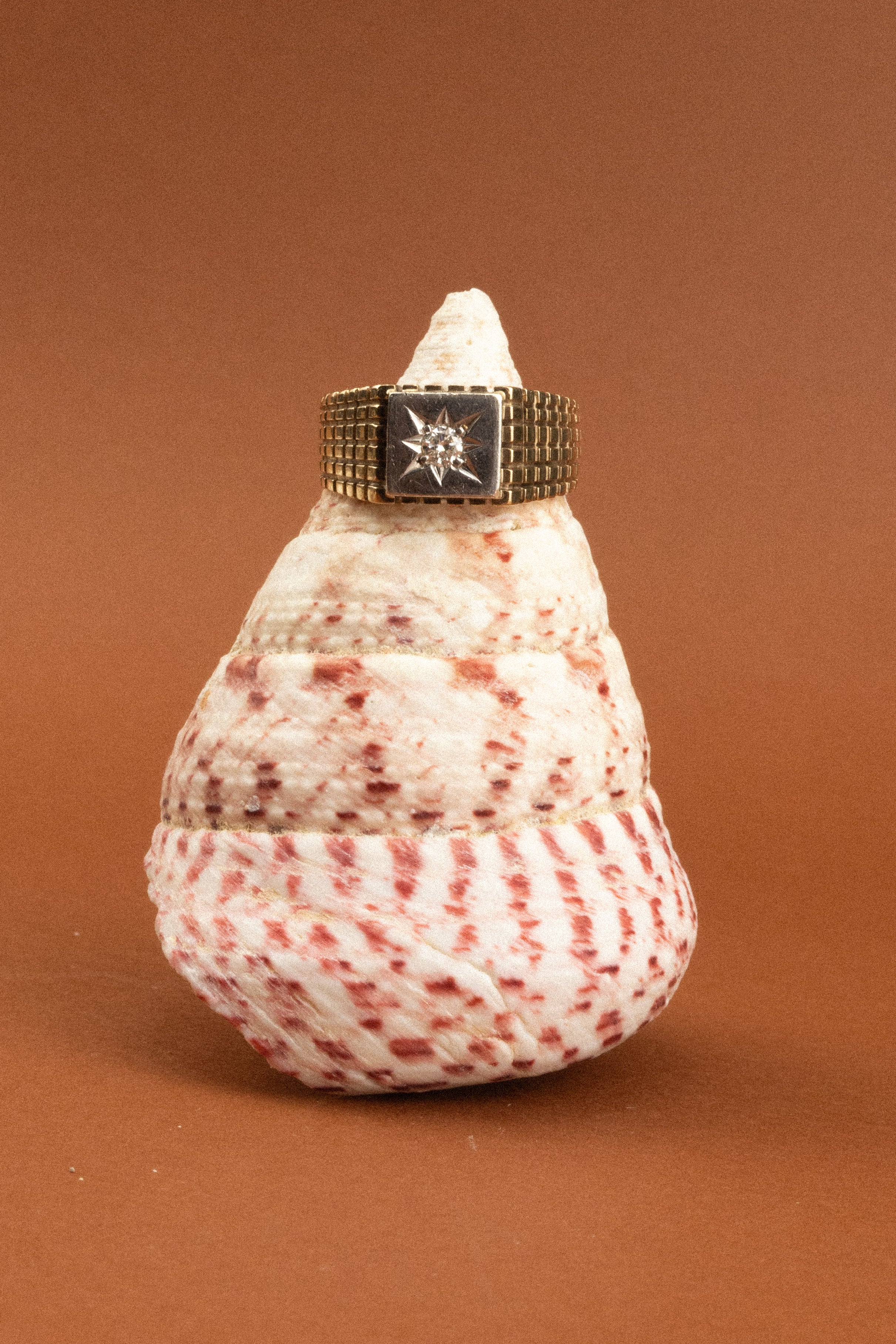 9ct Yellow Gold Starburst Diamond Ring