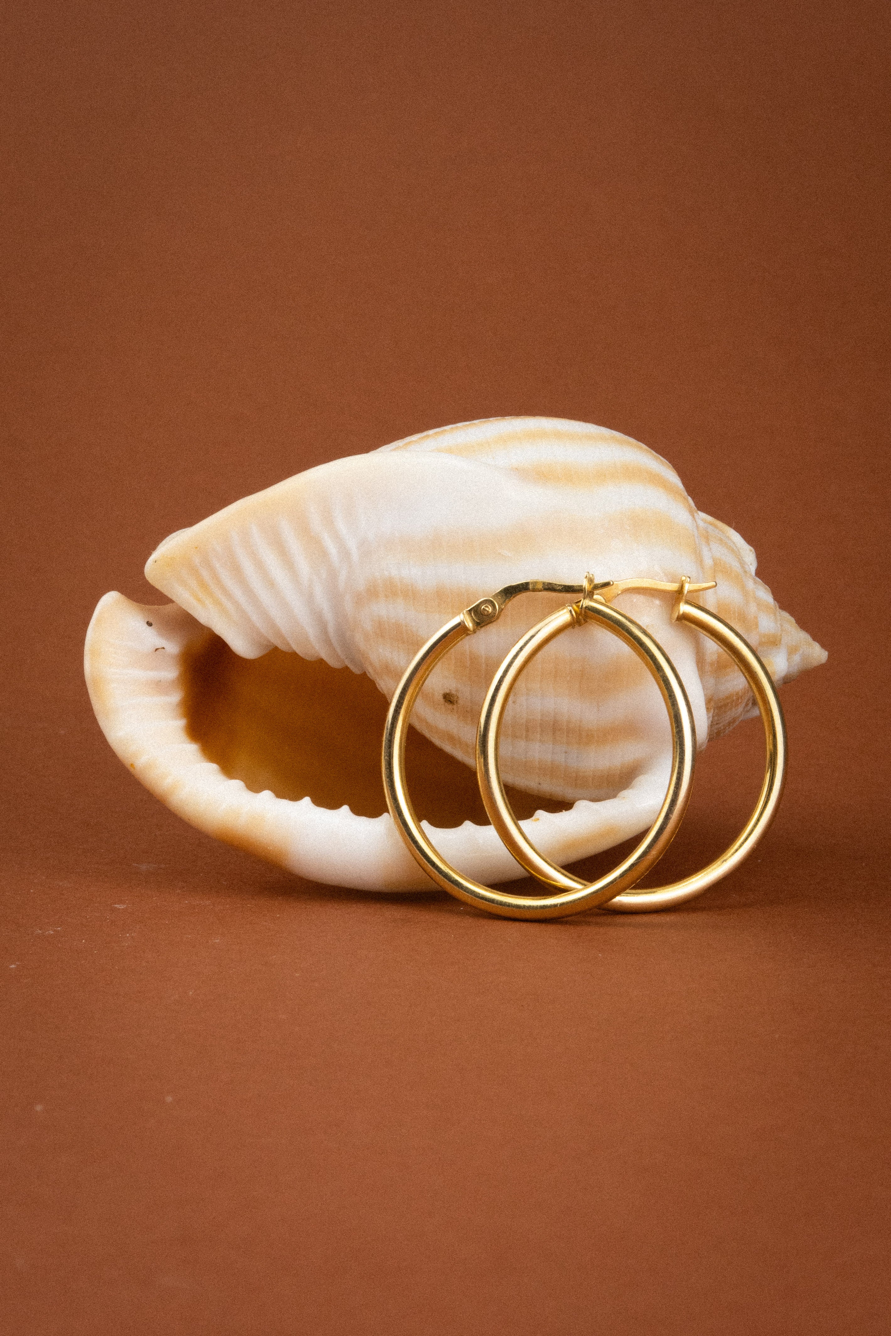 9ct Yellow Gold Large Hoop Earrings