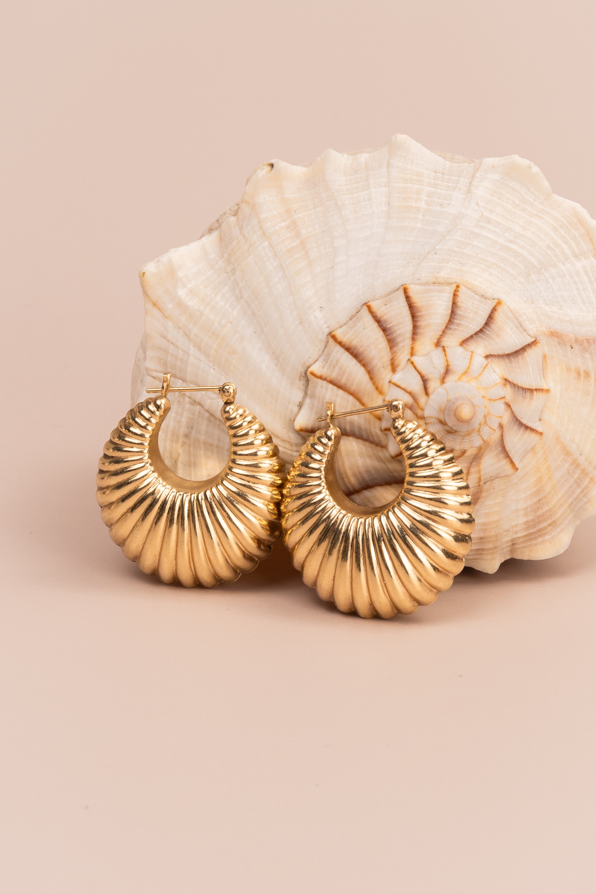 14ct Yellow Gold Ribbed Earrings